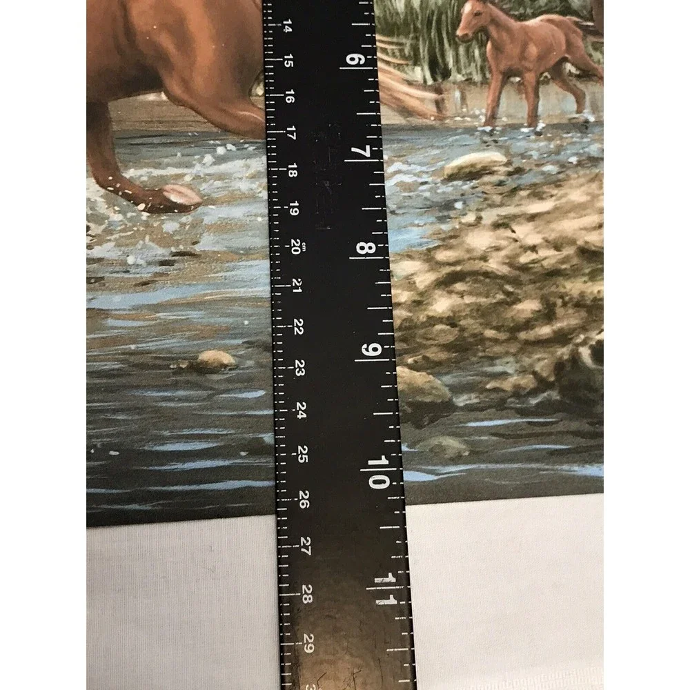 Wild Horses Wallpaper Border‎ - Horse Crossing Stream 10.25